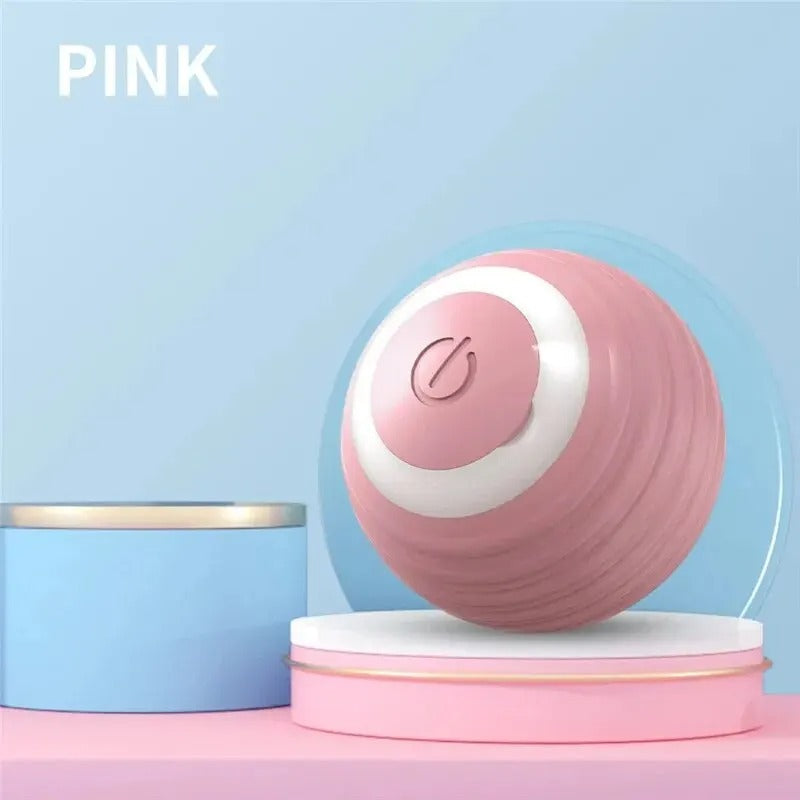 LED light pet ball