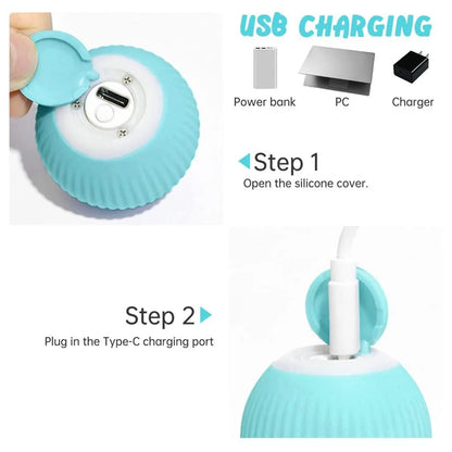 LED light pet ball