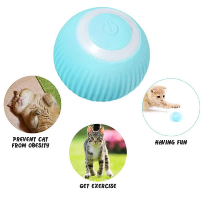LED light pet ball