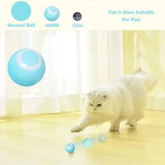 LED light pet ball