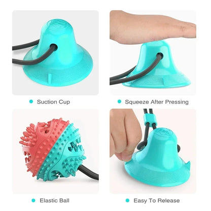 Sticky Dog Toy